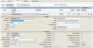 Database Configuration - Workorder Assigned Labor